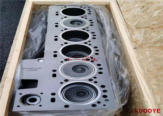 OEM Motor Liner Kit, 6CT S6D114 Silindir Bloku Assy Crank Shaft Piston Halkaları ile