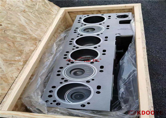 OEM Motor Liner Kit, 6CT S6D114 Silindir Bloku Assy Crank Shaft Piston Halkaları ile