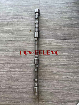 320e 322e Motor Liner Kit, C7.1 C6.6 320d 320d2 için motor parçaları